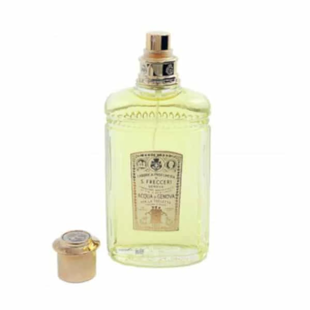 Spray 100 ml