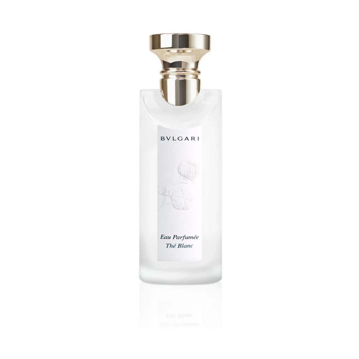 Thé Blanc