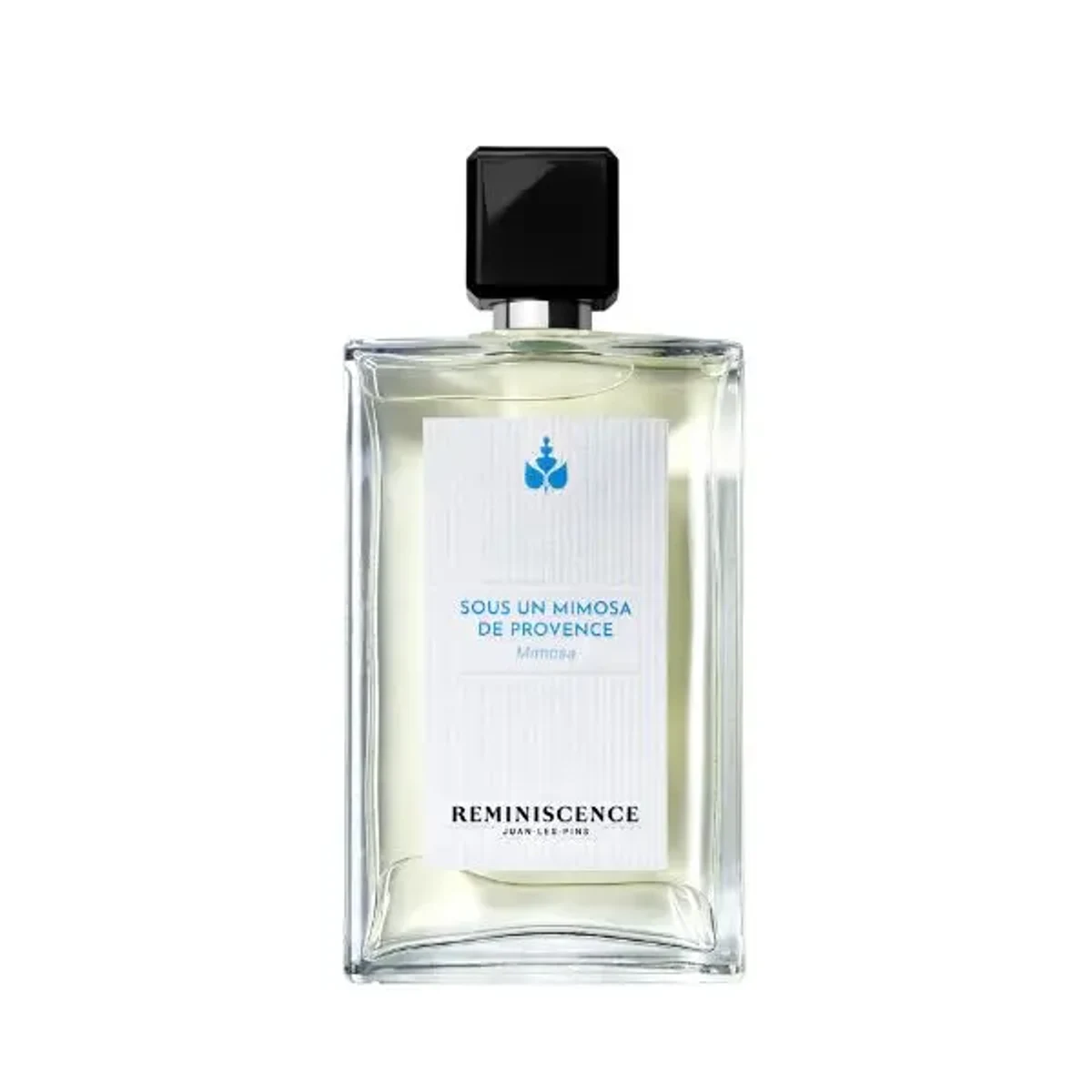 Sous un Mimosa de Provence 100 ml