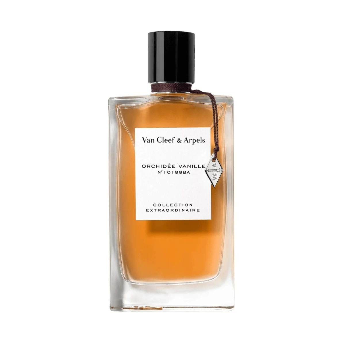 Orchidée Vanille