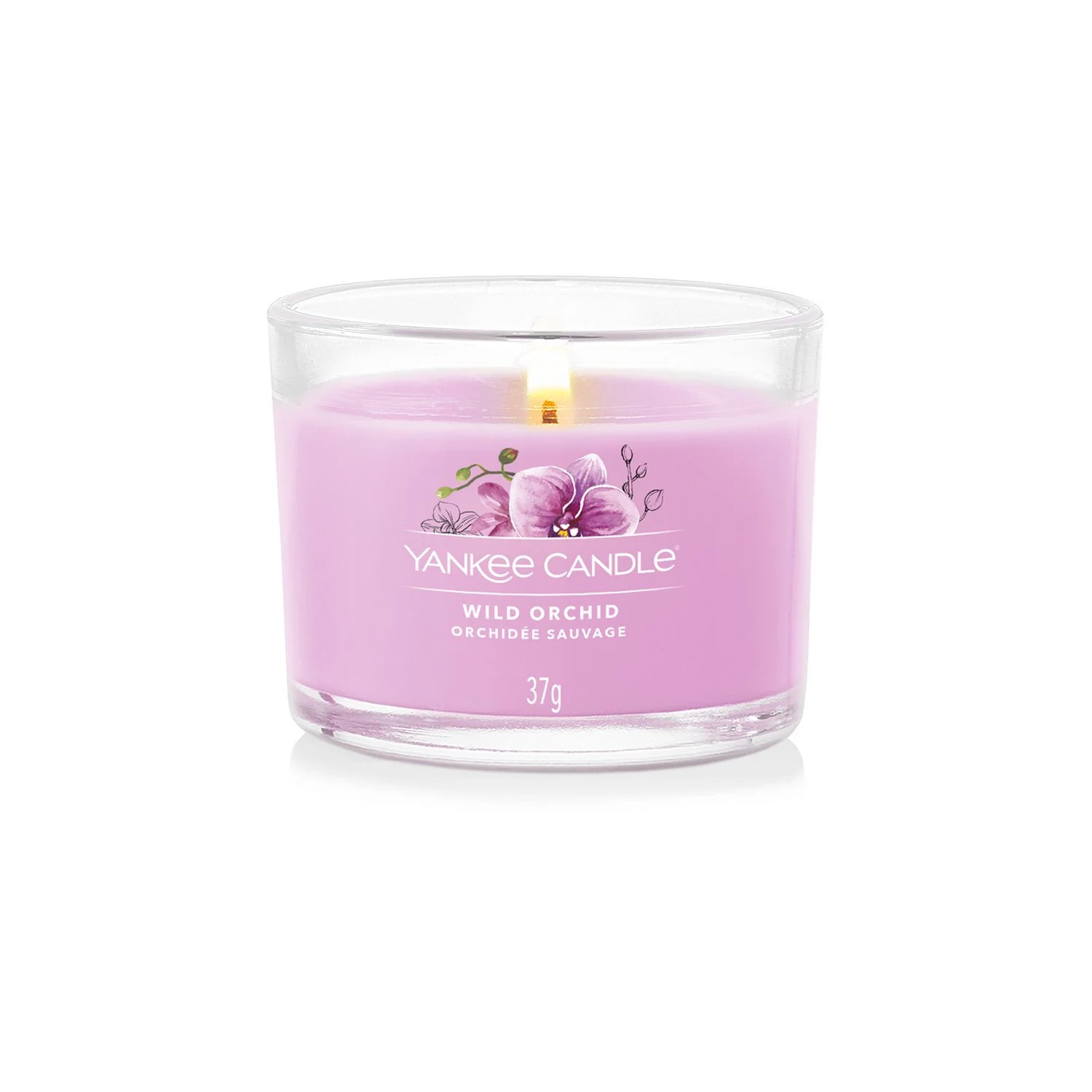 Wild Orchid
